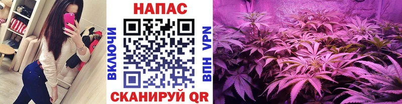 Купить наркоту Касимов КОКАИН  СОЛЬ  ГАШ  Каннабис  Меф мяу мяу 