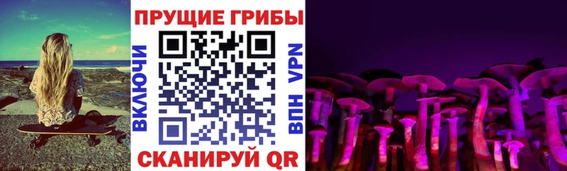 хочу наркоту  ОМГ ОМГ зеркало  Псилоцибиновые грибы мухоморы  Касимов 